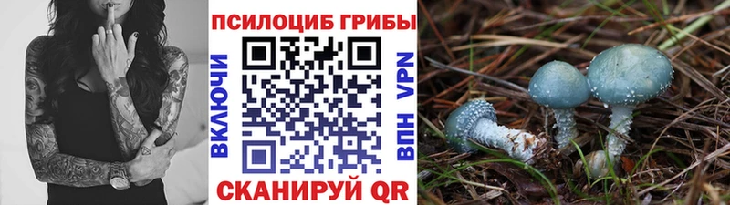 Галлюциногенные грибы Psilocybine cubensis  Купить закладки  Печора 